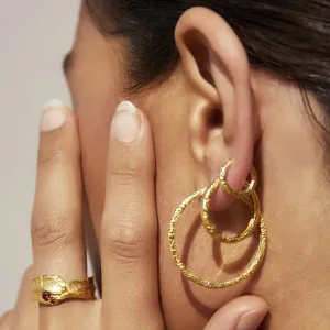 Arms of Eve Arabella Gold Hoop Earrings